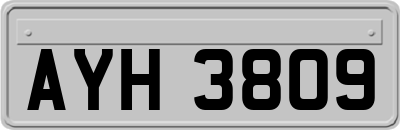 AYH3809