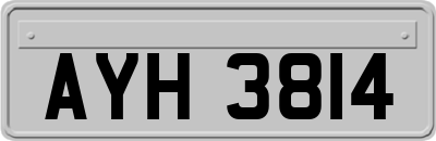 AYH3814