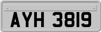 AYH3819