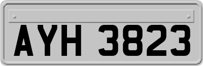 AYH3823