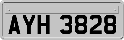 AYH3828