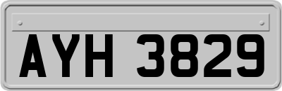 AYH3829