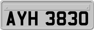 AYH3830