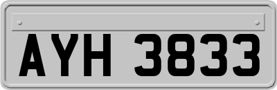 AYH3833