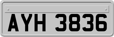 AYH3836