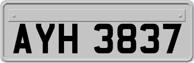 AYH3837