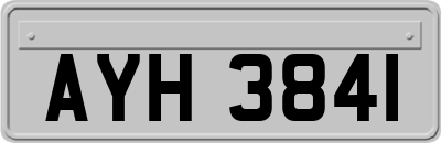 AYH3841