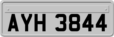 AYH3844
