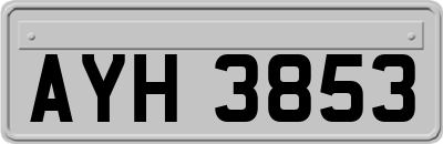 AYH3853