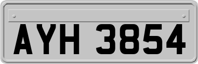 AYH3854