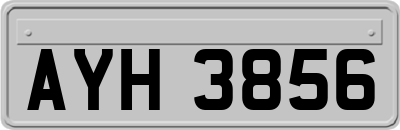AYH3856
