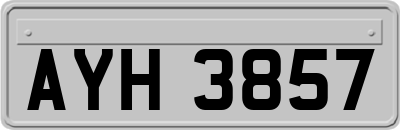 AYH3857