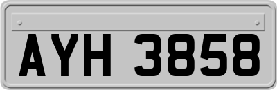 AYH3858