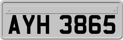 AYH3865