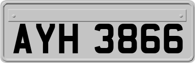 AYH3866