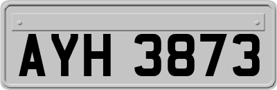 AYH3873