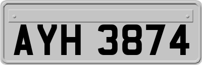 AYH3874