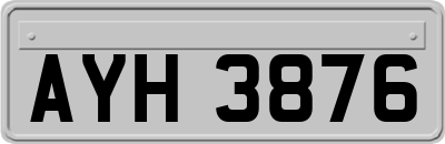 AYH3876
