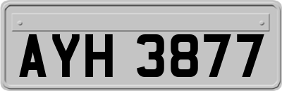 AYH3877