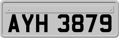 AYH3879