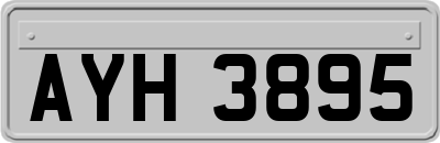AYH3895