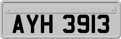AYH3913