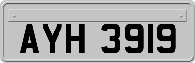 AYH3919