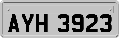 AYH3923