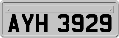 AYH3929