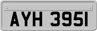 AYH3951