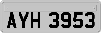 AYH3953