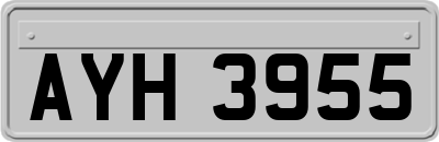 AYH3955