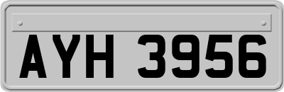 AYH3956
