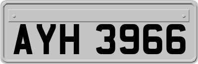 AYH3966