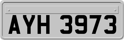 AYH3973