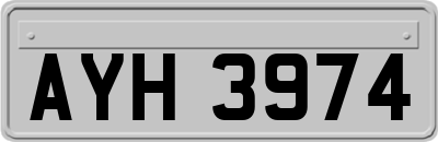 AYH3974