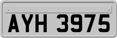 AYH3975