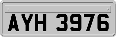 AYH3976