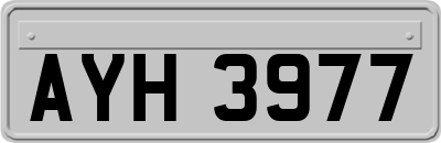 AYH3977