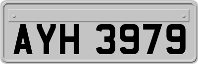 AYH3979