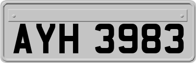 AYH3983