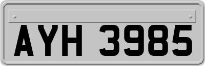 AYH3985