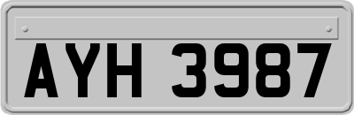 AYH3987