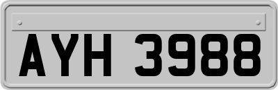 AYH3988
