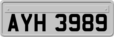 AYH3989
