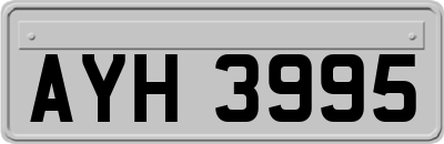 AYH3995