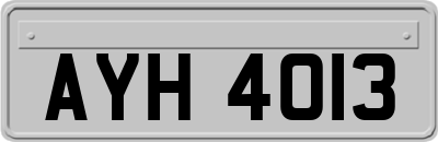 AYH4013