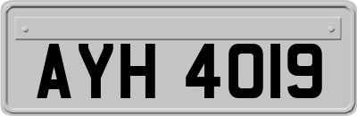 AYH4019