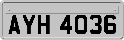AYH4036