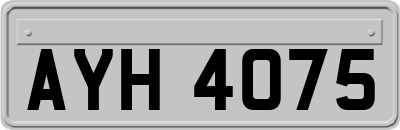 AYH4075